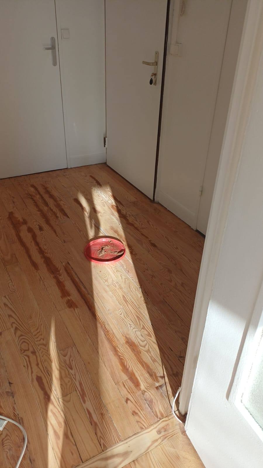 02-avant-renovation-parquet-94