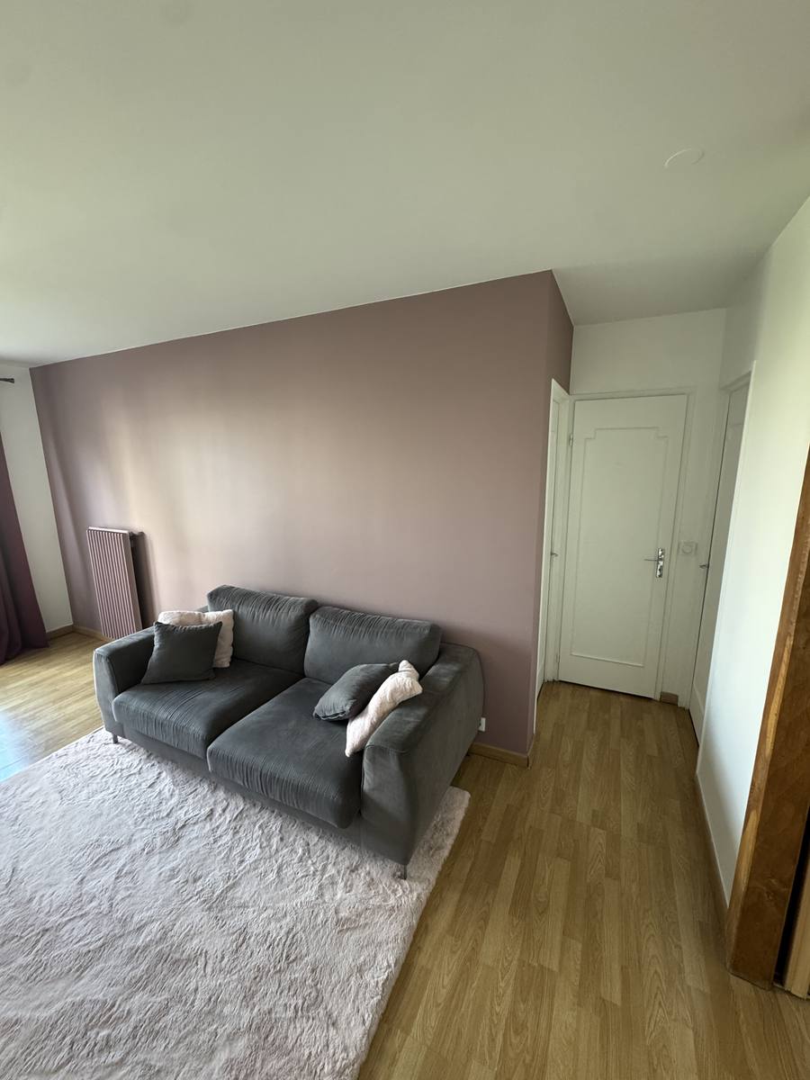 13-renovation-salon-peinture-appartement-neuilly-sur-marne